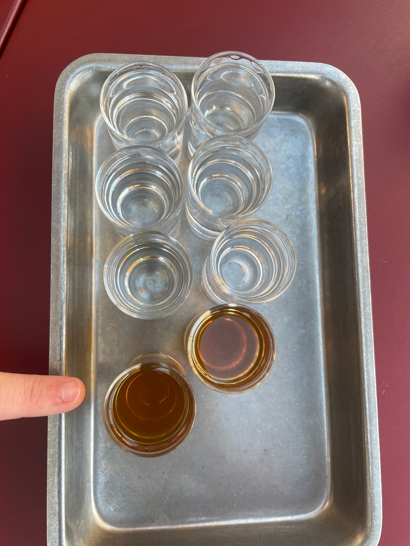 Flight of premium Polish vodkas in chilled glasses with zakąski on the Polish Vodka Tour in Warsaw